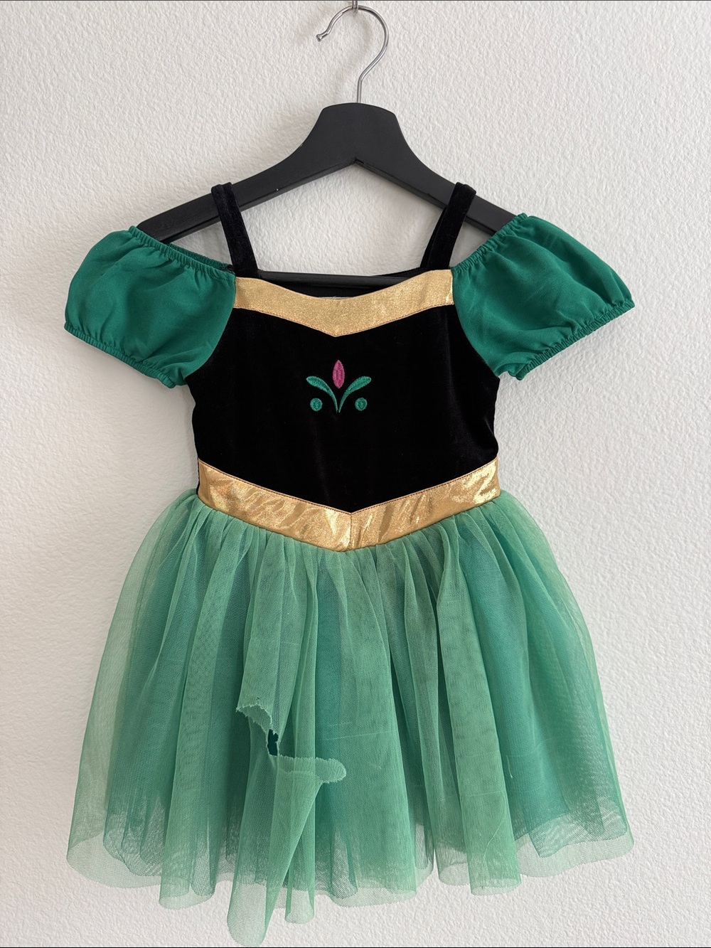 Taylor Joelle Anna Frozen Royal Rose Princess Dress